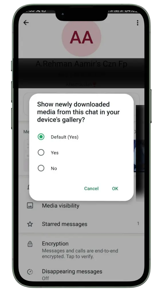 Ocultar contenido multimedia de la galería